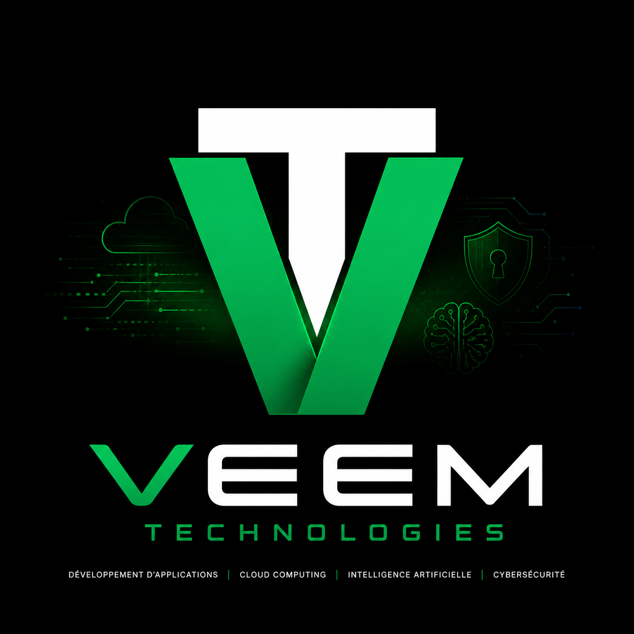 Veem Technologies